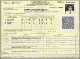 empolyment documents 0