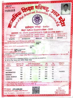 empolyment documents 0