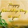 ankit sheria