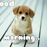 Prabhat Kumar