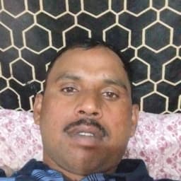 Peregrine guarding service