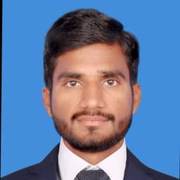 Chinna Basha P