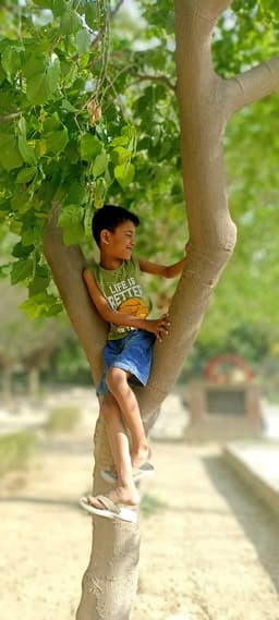 Rakesh Maurya